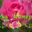 1481189371 25 - Терский район