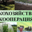 О сельскохозяйственной кооперации - Терский район