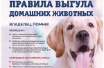 Установлена ответственность за нарушения правил выгула и других требований к содержанию домашних животных