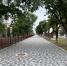 Screenshot_20250918_085238_Gallery.jpg - Терский район