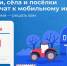 Продолжается голосование в рамках федерального проекта "Устранение цифрового неравенства" - Терский район